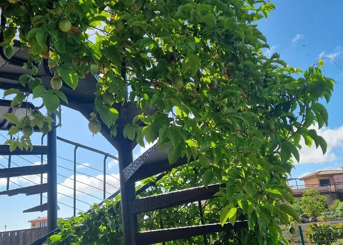 Ferienhaus Casa Azul *